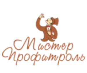 Кондитерская фабрика «Мистер профитроль»